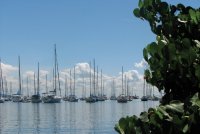 ships moored in a Chaguaramas marina. Photographer: Aisha Provoteaux