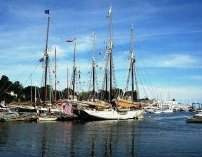 Camden Maine Harbor www.njcharters.com