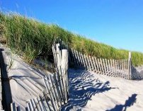 Cape Cod Beaches www.njcharters.com