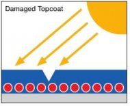 damaged topcoat