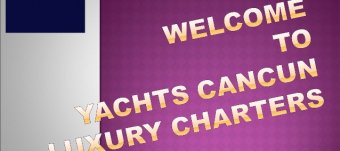 Luxury Yachts Charters