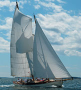 Schooner Yacht Heron