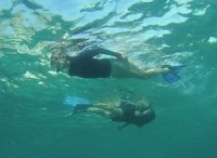 snorkeling USVI. G. Granbery