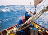 Solway Maid Delivery Mediteranian