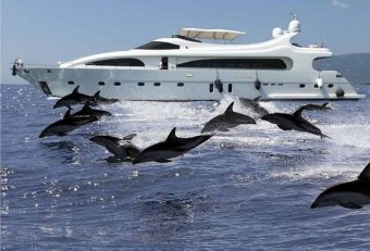 Caribbean Luxury Yacht charter